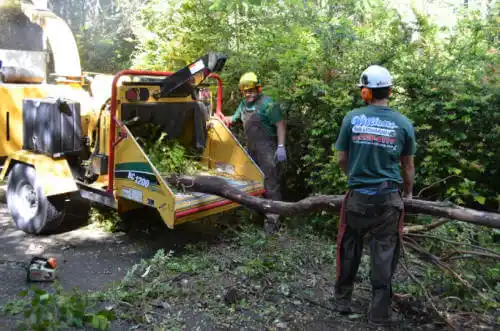 tree services Okoboji